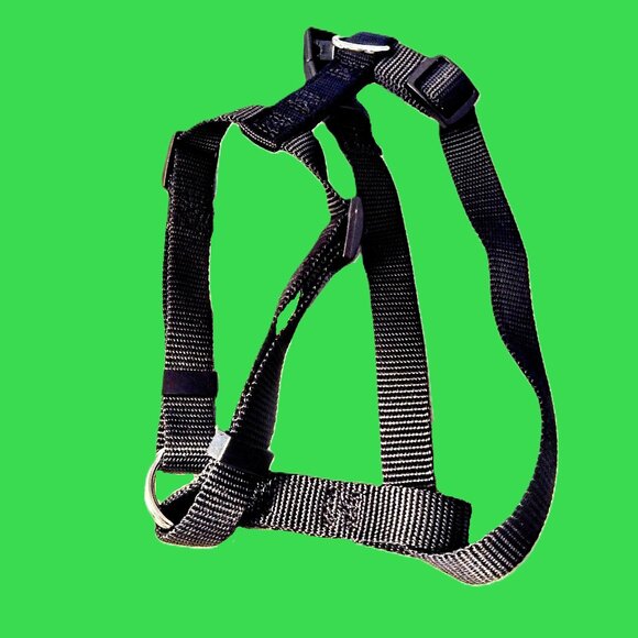 Small DOG Harness ~ No-Pull, H-Type, 5/8" Nylon Web-Strap ~ Adjustable 14"- 20" - Picture 4 of 11